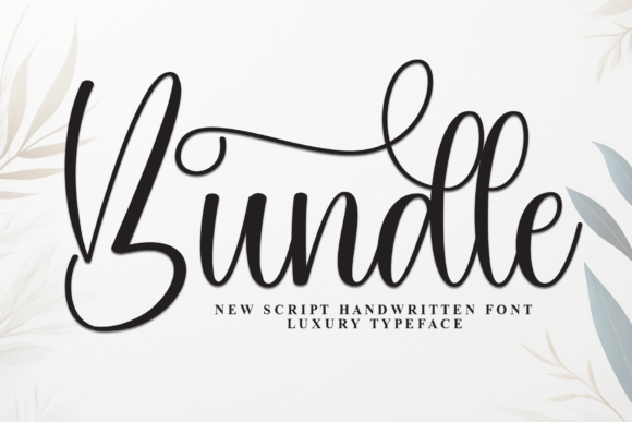 This Elegant Script Font Blends Graceful Curves with Refinement